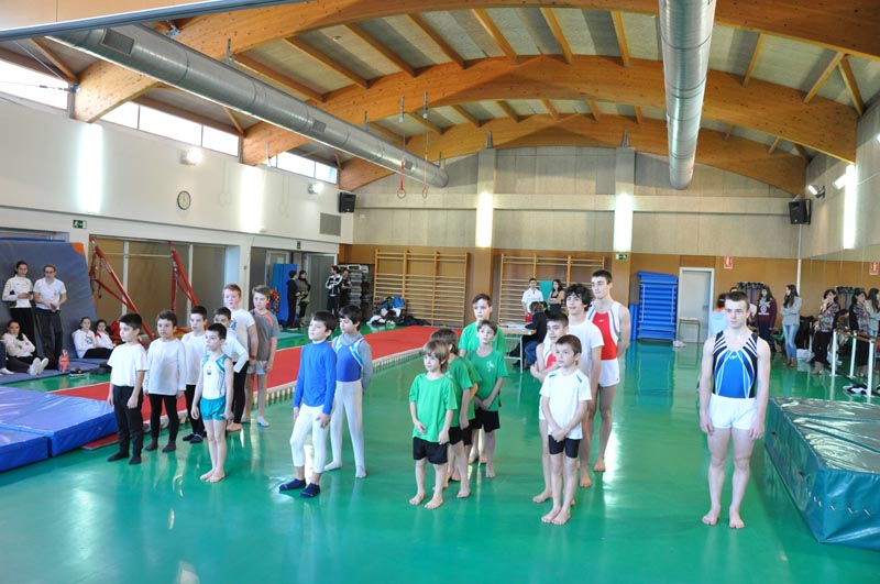 Primera Fase de los JDN de Art&iacute;stica Masculina